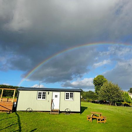 Cwtch Glamping Shepherds Huts 阿伯加文尼 外观 照片