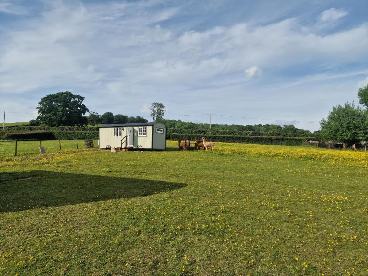 Cwtch Glamping Shepherds Huts 阿伯加文尼 外观 照片